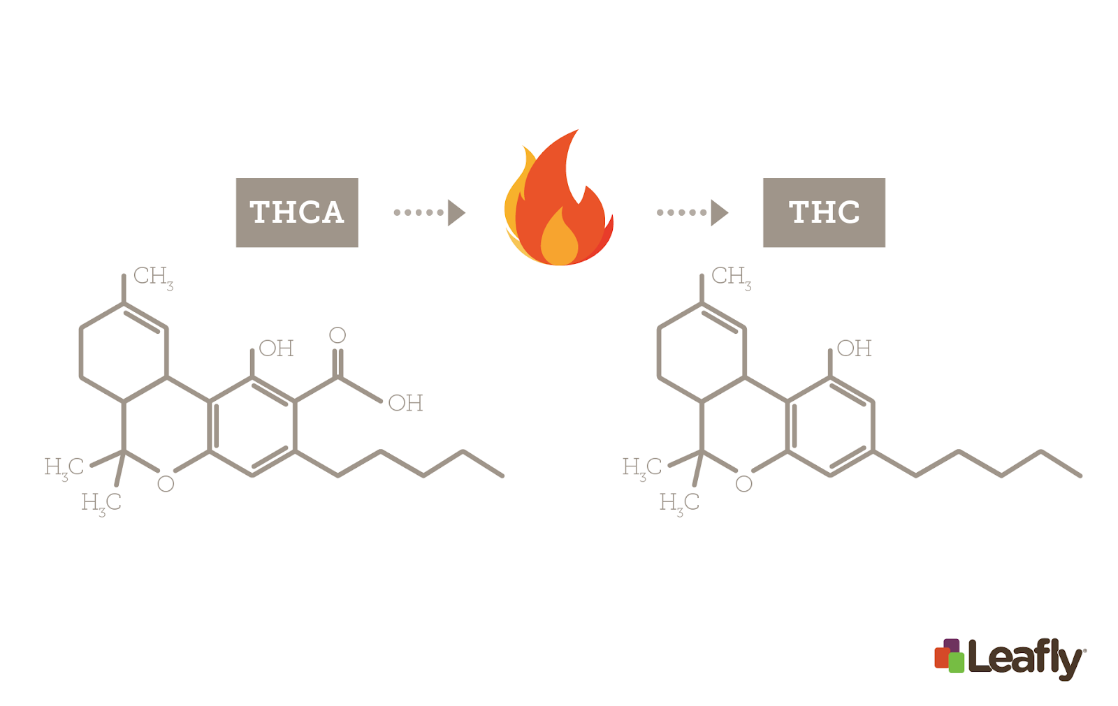 The 2018 Farm Bill: Unlocking the Potential of THCA Across America